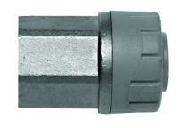 Polyplumb brass female adaptor (Female BSP)