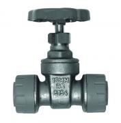 Polyplumb brass gate valve