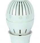 Giacomini Globe spare head R 470