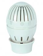 Giacomini Globe spare head R 470