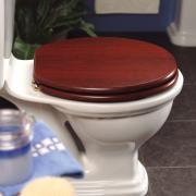 Primaflow Platinum WC seat - brass hinges