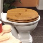 Primaflow Platinum WC seat – brass hinges 2