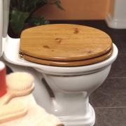 Primaflow Platinum WC seat - brass hinges