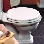 Primaflow Platinum WC seat - brass hinges