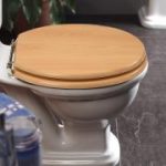 Primaflow Platinum WC seat – brass hinges 4