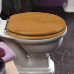 Primaflow Platinum WC seat – brass hinges 5