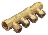 BML linear manifold