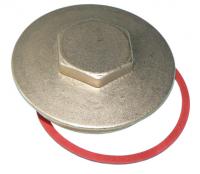 Brass immersion heater plug & washer 2.1/4"